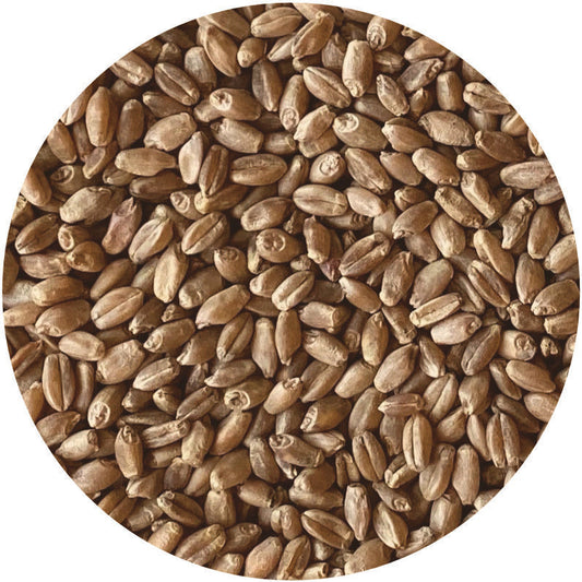 Organic Hard Red Spring Wheat Berries