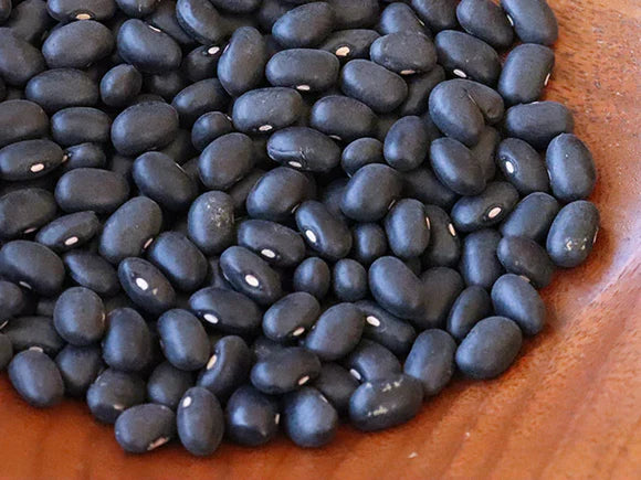 Organic Dry Beans, Black Turtle - 1 lb. Bag