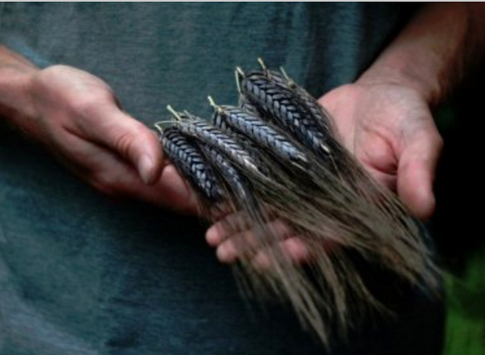 Organic Black Emmer Flour