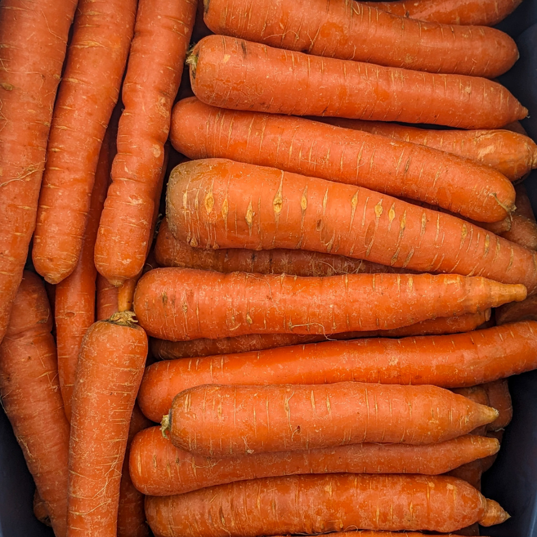 Carrots - Orange