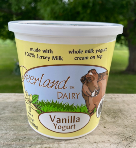 Vanilla Yogurt - 16 Oz