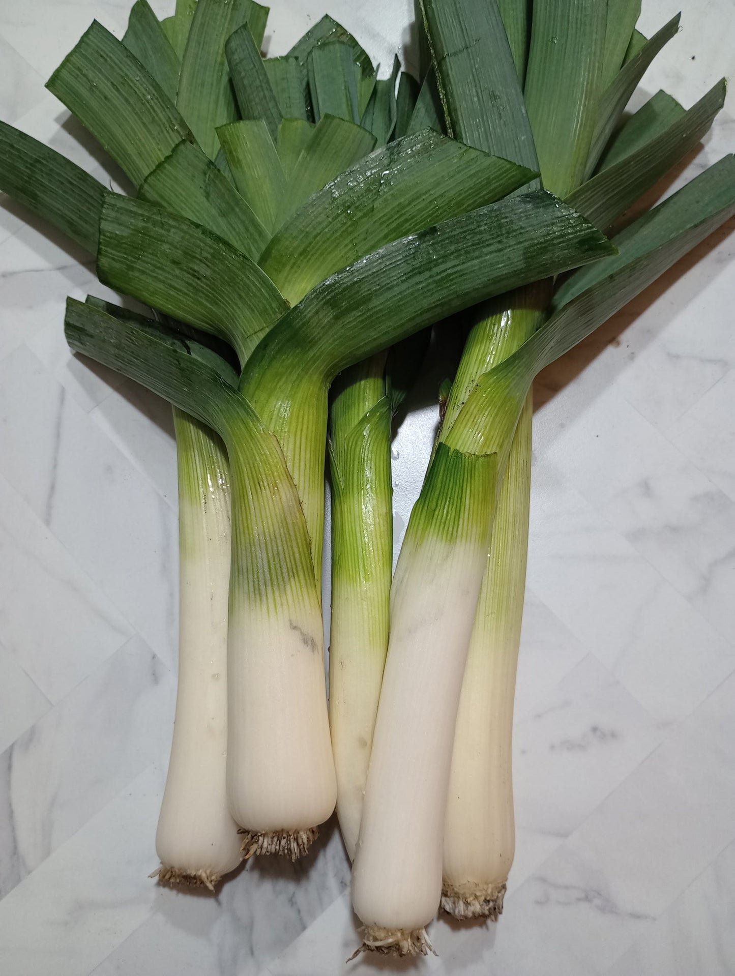 Leeks, Bunch of 5