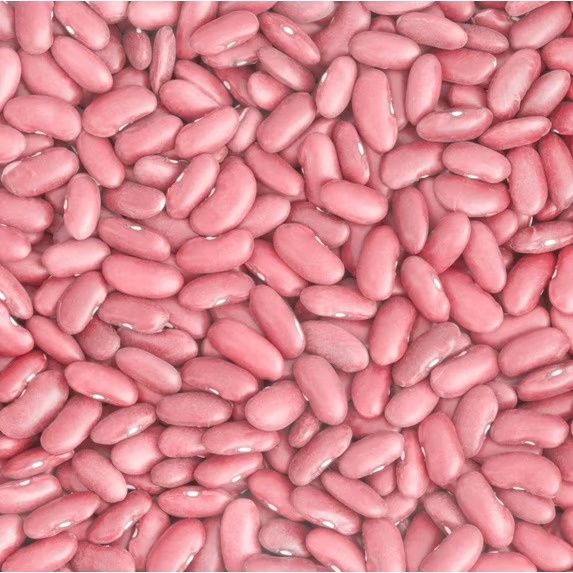 Organic Dry Beans, Pink Beans