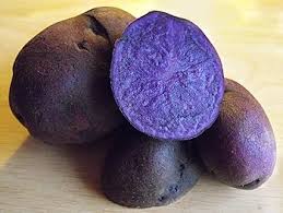 Potatoes – Purple Viking