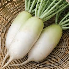 Radishes - Alpine