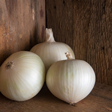 Onions - White