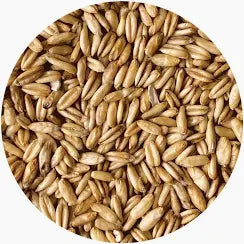 Whole Oats (Groats)