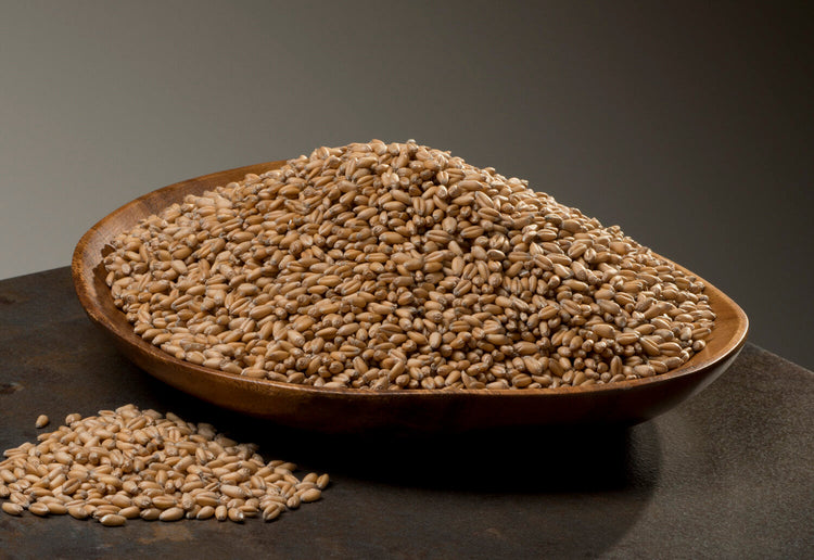 Wheat Berries