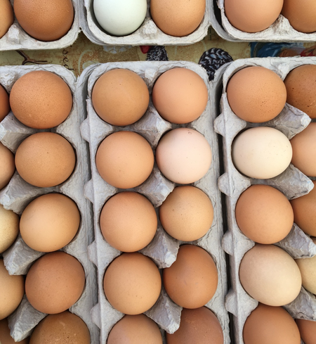 Pasture-Raised Eggs, NonGMO - Grade A Large (15 dozen flat)