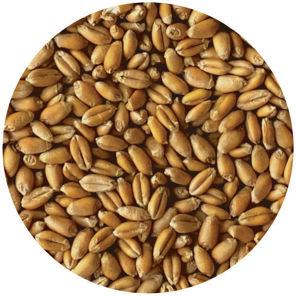 Organic Soft Red Winter Wheat Berries