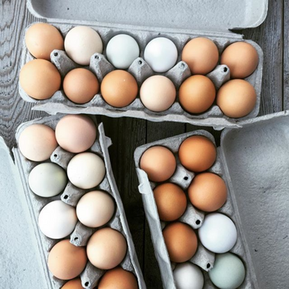 Pasture-Raised Eggs