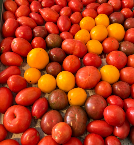 Tomato - Assorted Heirlooms