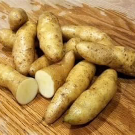Fingerling Potatoes