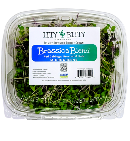 Container of Itty Bitty Microfarm Brassica Blend microgreens with a clear lid.