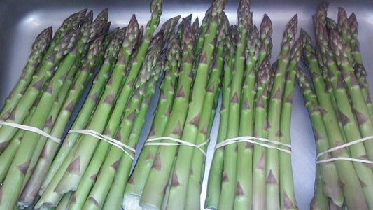 Asparagus - Hartz Lil Red Barn