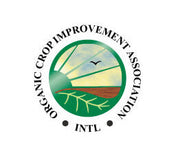 Organic Einkorn Berries