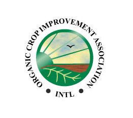 Organic Spelt Berries