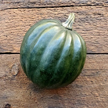Winter Squash, Acorn - Bulk