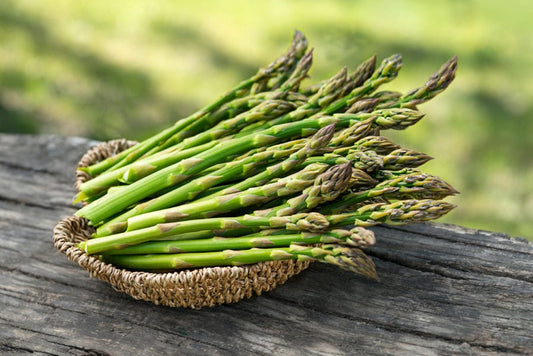 Asparagus - Carrolls' Timber Edge Farm