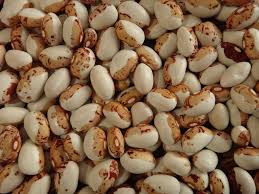 Kenearly Yellow Eye Beans, Dried