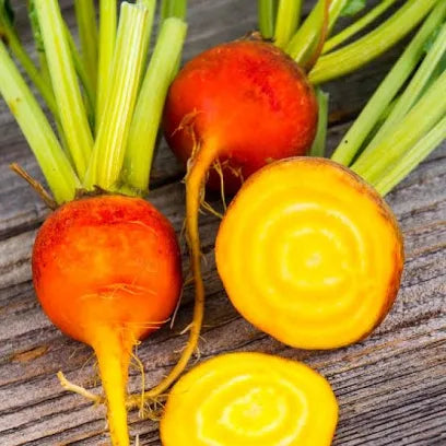 Beets - Gold