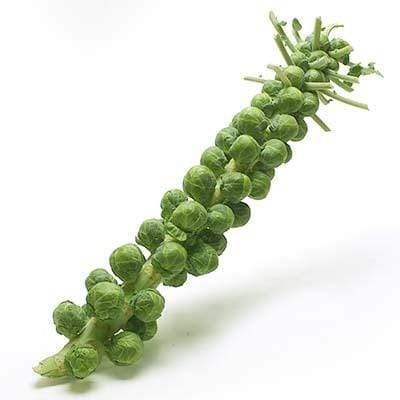 Brussel Sprouts - 8 oz
