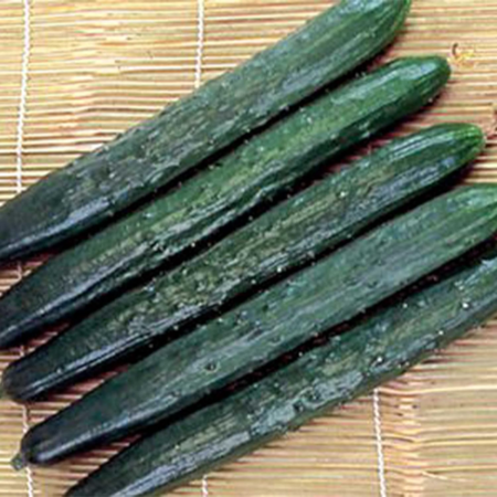 Cucumber - English