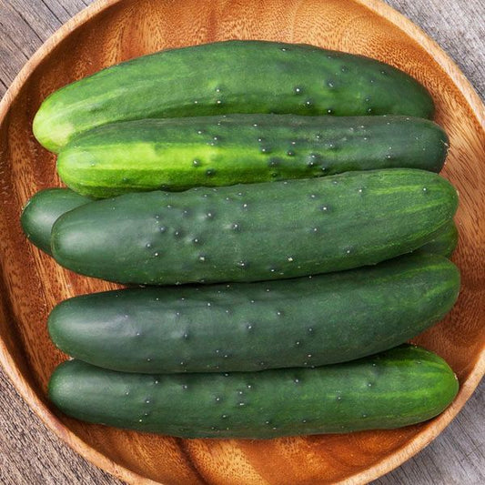 Cucumbers, Slicing