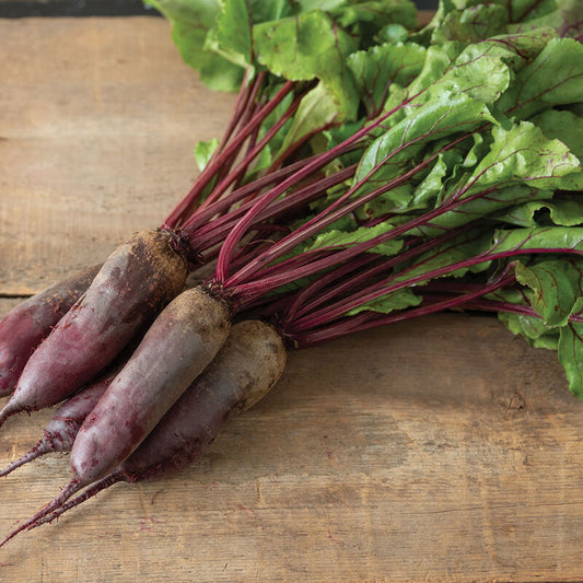 Beets, Cylindra Long Red - 1 bunch