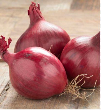 Red Onions, Small
