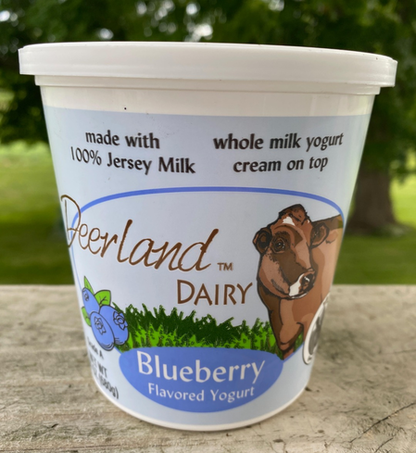 Blueberry Yogurt - 16 Oz - No Preservatives, Artificial Colors, or Artificial Flavors