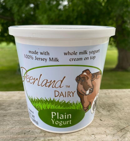 Plain Yogurt - 16 Oz