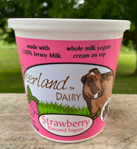 Strawberry Yogurt - 16 Oz