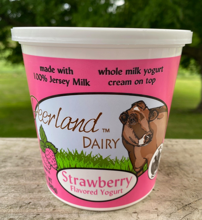 Strawberry Yogurt - 16 Oz