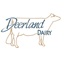 Plain Yogurt - 16 Oz