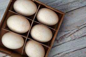 Duck Eggs (One Dozen)