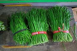 Chives - Mongolian