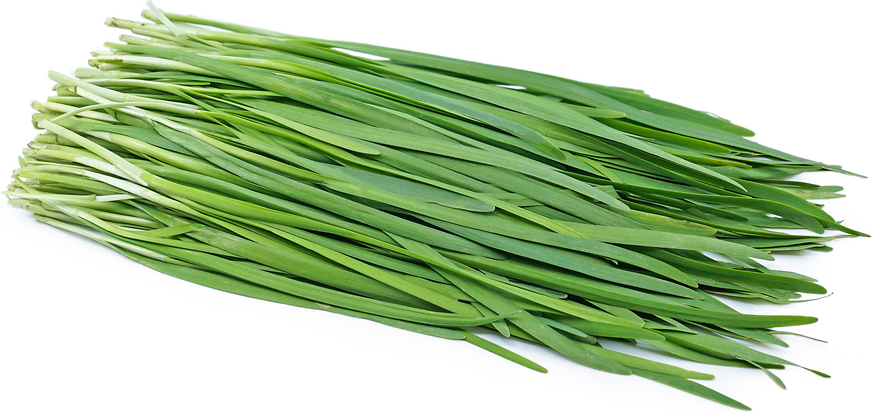 Chives - Garlic