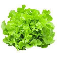 Lettuce - Green Leaf