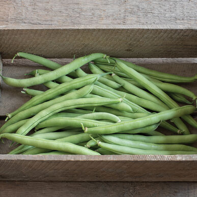 Green Beans