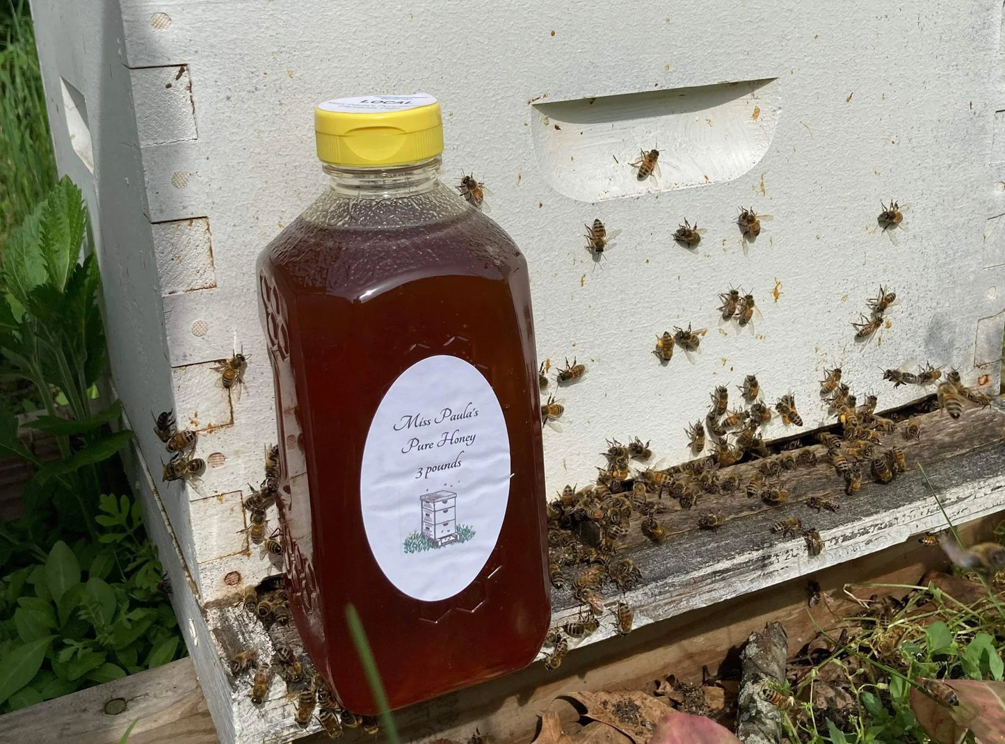 Miss Paula's Pure Honey