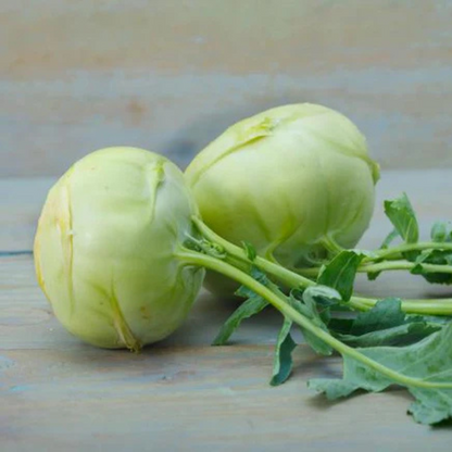 Kohlrabi - Green