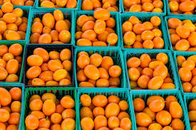 Organic Citrus - Kumquats