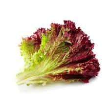 Lettuce - Red Leaf
