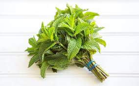Mint – Spearmint - 1 oz.