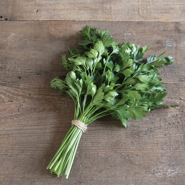 Parsley, Flat Leaf - 1 bunch
