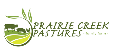 Premium Soy-Free Eggs – Pasture-Raised (1 Dozen)