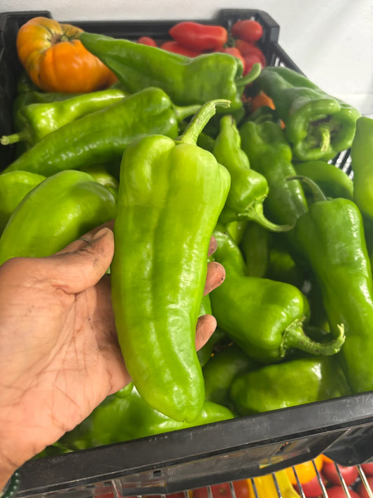 Peppers, Poblano