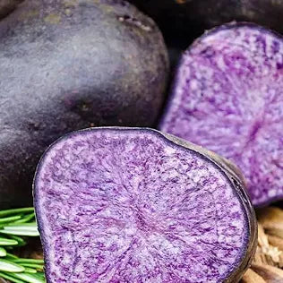 Purple Majesty Potatoes
