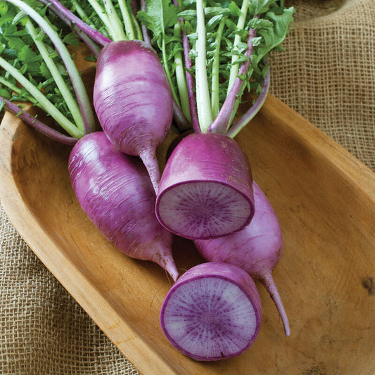 Radishes, Purple Daikon
